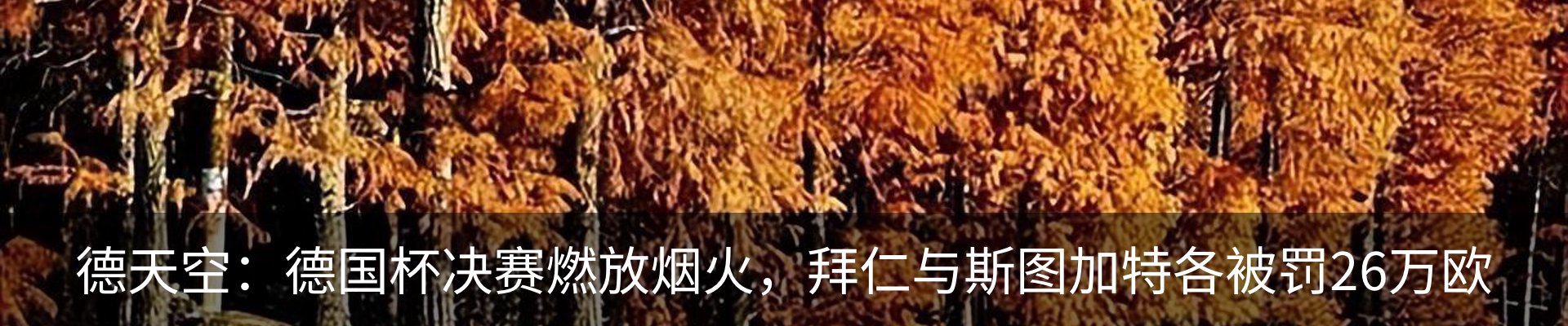 内页banner