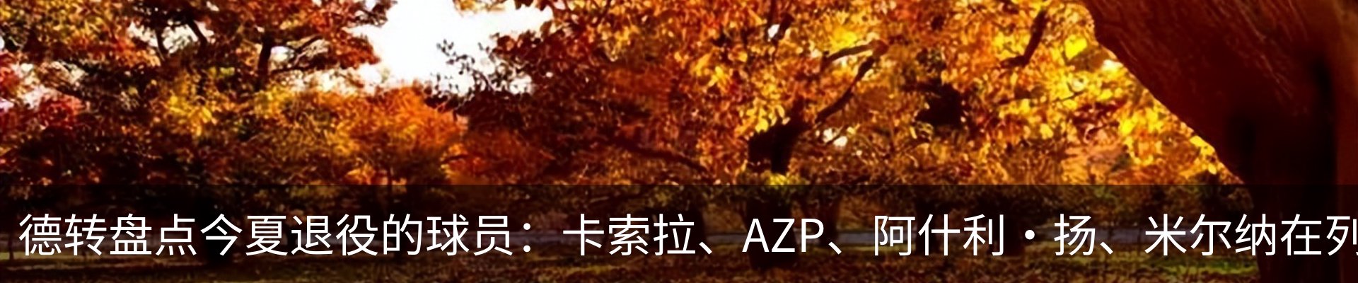 内页banner