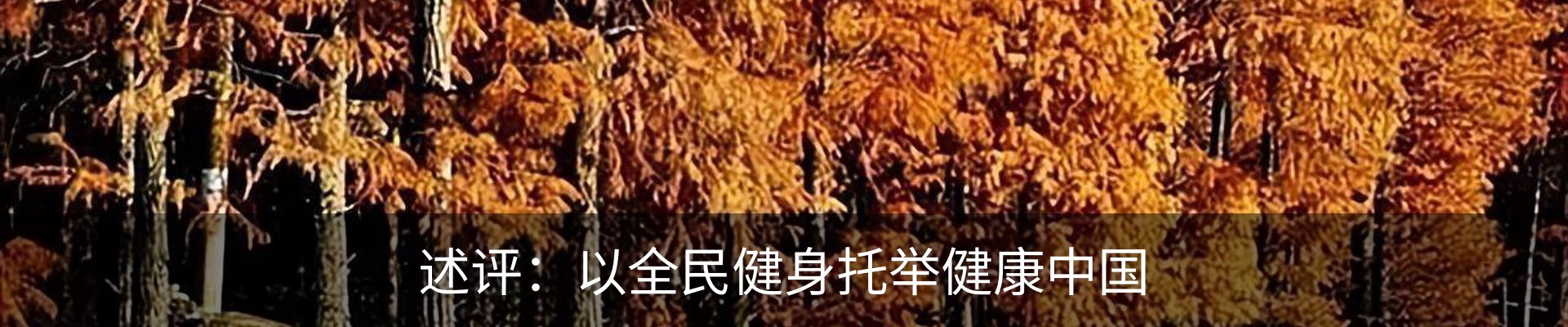 内页banner