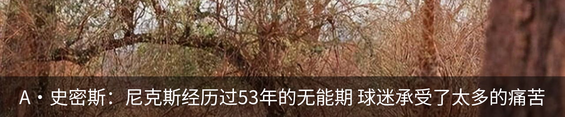 内页banner